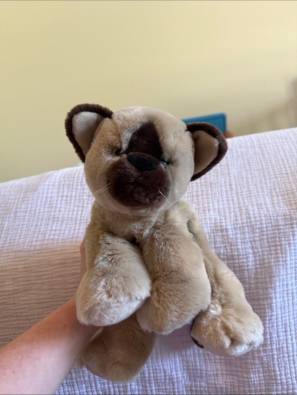 2001 Animal alley Siamese cat plush EUC